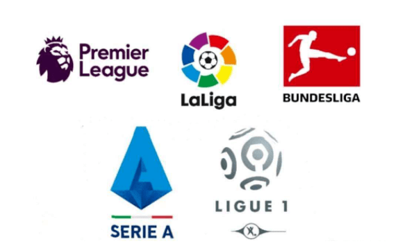 体表现值得 体表现值得